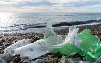 From Plastic Fantastic to Plastic Drastic