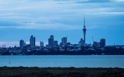 Bruce Cotterill: One task before you cast your vote for council: Think